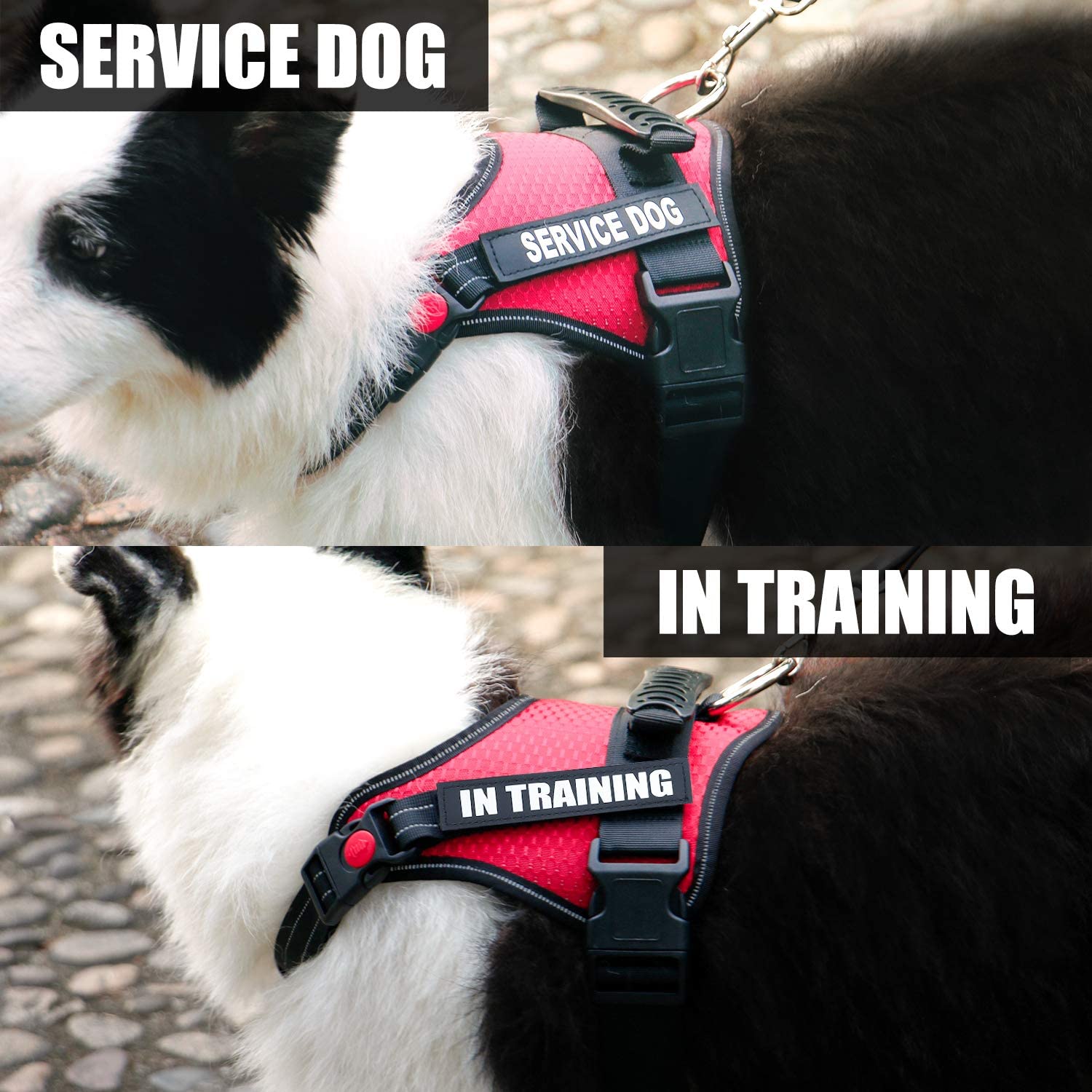 Pechera arnes K9 Canino Perros de Servicio sin tirón Chaleco Ajustable Reflectante asa entrenamiento - Imagen 3