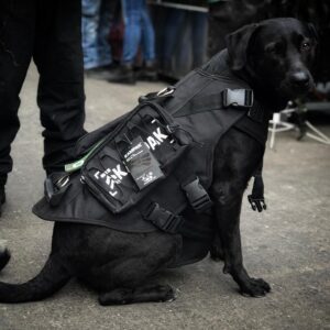 Pechera arnes para mascota K9 Kampa
