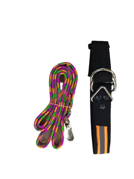 Correa basica ligera de 19 mm x 120 cms para perro k9 - Imagen 4